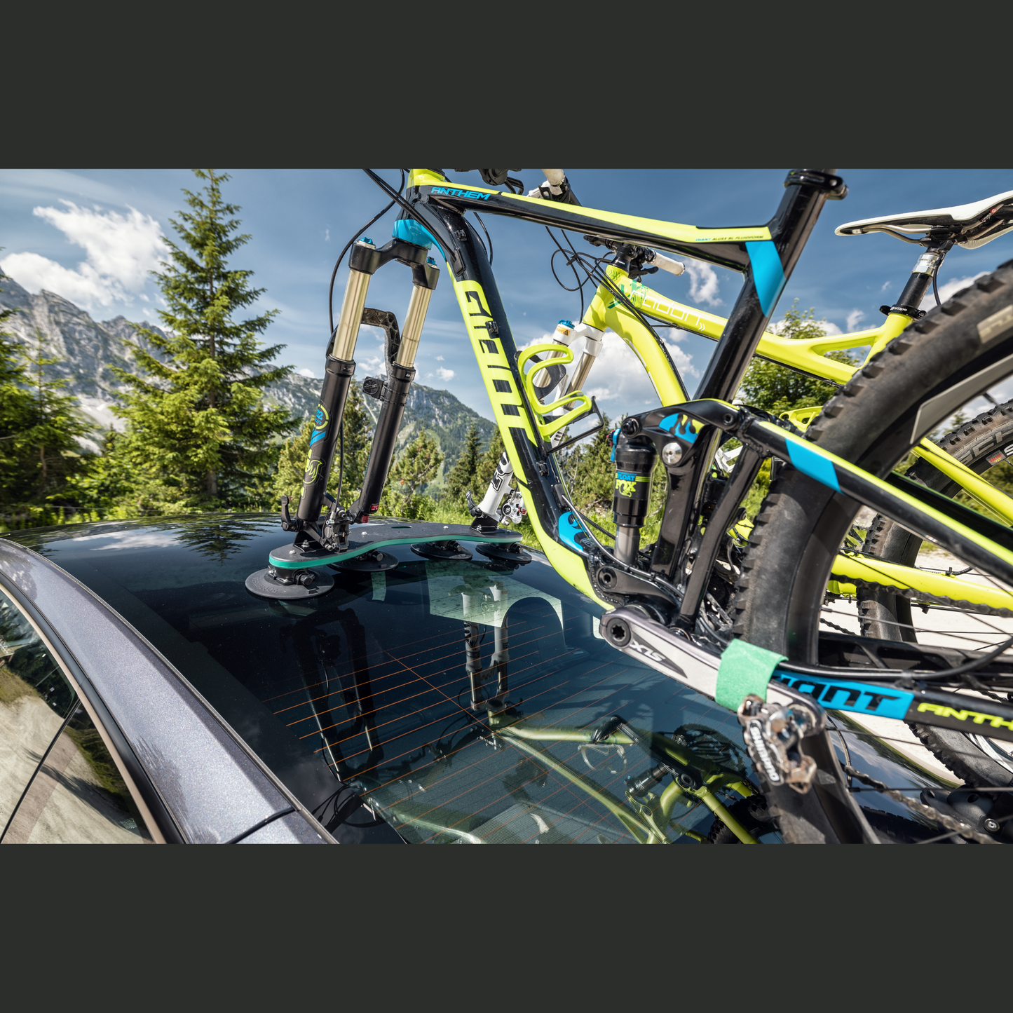 TÜV-gecertificeerde TreeFrog dakdrager voor veil ig fietsvervoer